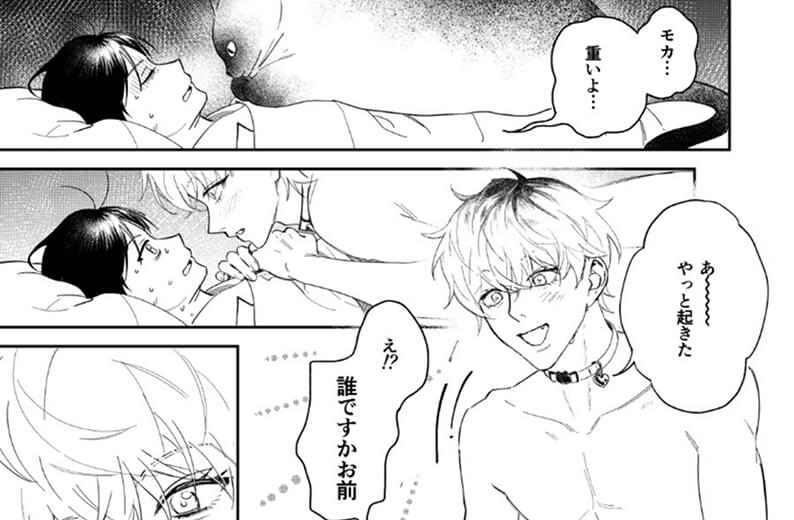 「モカが人間になっちゃった」サムネイル